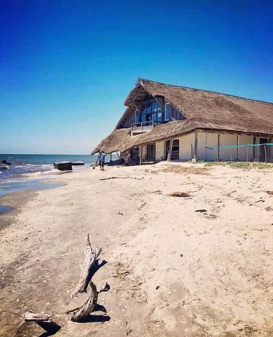 A thatched-roof beach house sits on a sandy shoreline next to the ocean, with driftwood in the foreground and a clear blue sky above.