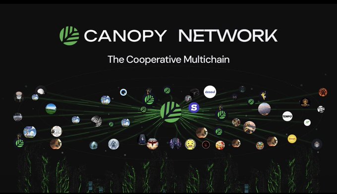 A Canopy Network promotional image titled 'The Cooperative Multichain' showing a network diagram with various cryptocurrency and project logos connected through a central node.