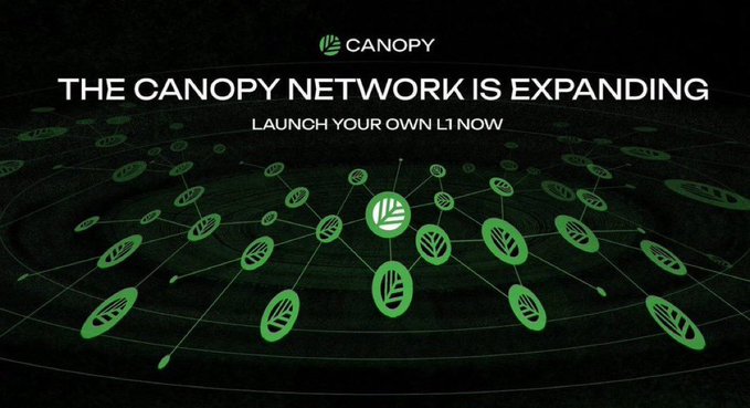 A promotional graphic reads 'THE CANOPY NETWORK IS EXPANDING - LAUNCH YOUR OWN L1 NOW' showing a green network of interconnected leaves.