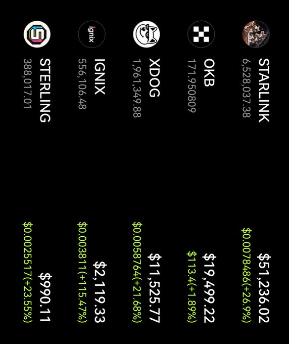 A cryptocurrency portfolio display showing holdings in STARLINK, OKB, XDOG, IGNIX, and STERLING with their respective balances and USD values.