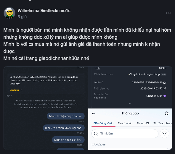 A screenshot of a Facebook post by "Wilhelmina Siedlecki mo1c" in Vietnamese, discussing a scam. It includes chat logs and a transaction record showing a transfer of 529,000 VND dated "17/09/2026" on a banking app.