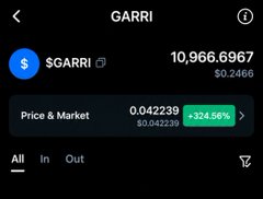 This image shows a trading app interface displaying a portfolio entry for "$GARRI" with a holding of 10,966.6967 tokens valued at approximately $0.2406 each, showing a +324.56% gain and a current market price of $0.044239. The modest profits on screen humorously contrast with the post's playful "loader man" jab, suggesting that owning such a small amount of the low-priced token makes the holder more of an insignificant holder than a big investor.
