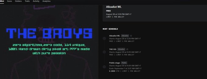 A website screenshot for 'THE BROYS' NFT project, described as 'zero algorithms, zero code, 144 unique, 100% Hand-drawn dirty pixel art,' with mint schedules for Allowlist WL, THE OG, and Public stage.