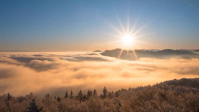 A scenic landscape photograph of a brilliant sun shining over a sea of clouds with mountain peaks emerging, taken from a forested hillside.