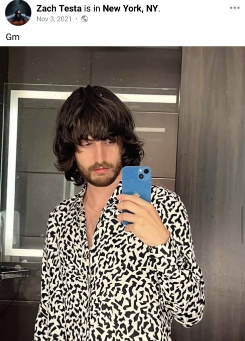 A Facebook post by Zach Testa from New York, NY, dated November 3, 2021, captioned "Gm," features a selfie of a man with dark wavy hair and a beard wearing a black and white patterned shirt, taking a mirror photo with a blue iPhone. The image appears to show Zach Testa himself, though the accompanying note discusses a different individual (@degenharambe) who profited from the $pepe token and subsequently lost everything.