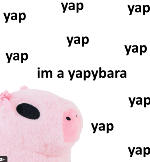 A pink plush capybara with the text 'im a yapybara' surrounded by the word 'yap' repeated multiple times on a white background.