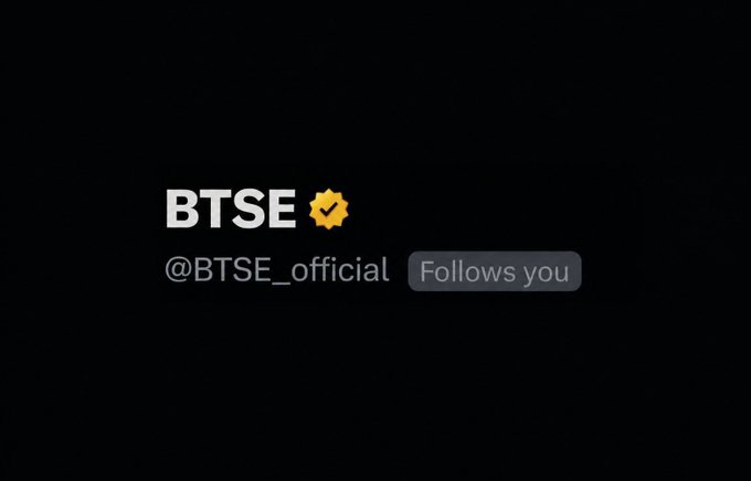 The image features a black background with white text that reads "BTSE #official follows you". The text is accompanied by an image of a gold star, which is a symbol often associated with official status or recognition. The caption below the image states that the BTSE official follows you on social media platforms like Twitter and Instagram.