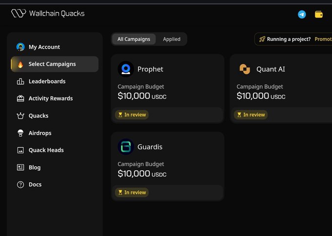 The image shows a screenshot of a website called "Wallchain Quacks" with various campaign options displayed on its screen. The text in the image suggests that the website offers campaigns for different projects or brands, possibly related to Web3 technology. The focus of the image is on the campaigns and their details, rather than any specific content within the image itself.