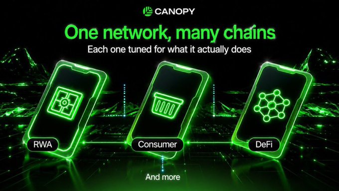 A green-themed promotional graphic for Canopy titled 'One network, many chains' showing three smartphone icons representing RWA, Consumer, and DeFi verticals.