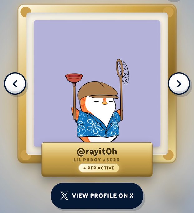 A digital profile card for @rayitOh featuring a cartoon penguin character ('LIL PUDGY #5026') wearing a flat cap and blue floral shirt, holding a plunger and net, with a 'PFP ACTIVE' status and a 'VIEW PROFILE ON X' button.