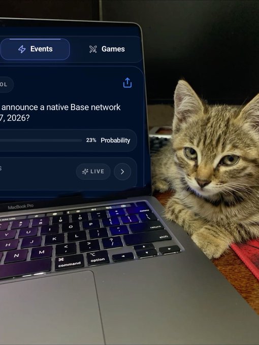 A tabby kitten rests beside a MacBook Pro displaying a prediction market event titled 'announce a native Base network' with 23% probability, marked LIVE.