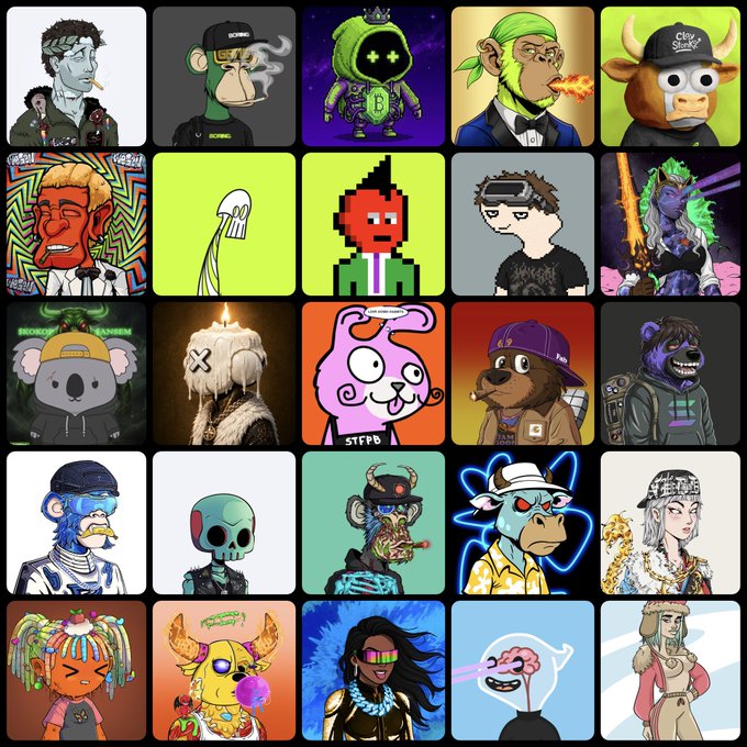 A 5x5 grid displaying 25 distinct stylized NFT character avatars, including humans, animals, and skeletons, featuring various accessories like bandanas, sunglasses, and pixel art designs.