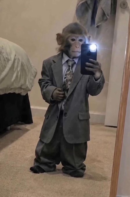 A small monkey dressed in an oversized gray suit and tie stands on a carpeted floor, holding up a smartphone with the flash on as if taking a mirror selfie.