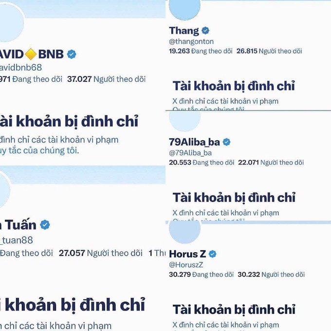 Twitter/X suspension notices in Vietnamese for multiple accounts including @avidbnb68 (BNB AVID), @thangonton, @79Aliba_ba, @...tuan88, and @HoruszZ, all displaying the message 'Tài khoản bị đình chỉ' (Suspended Account) for policy violations.