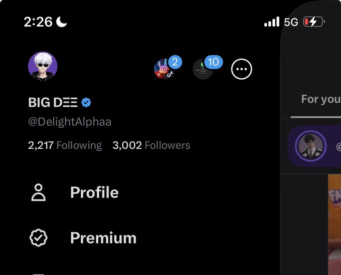 A Twitter/X profile screenshot showing user 'BIG DEE' (@DelightAlphaa) with a verified checkmark, 2,217 Following and 3,002 Followers, along with Profile and Premium menu options.