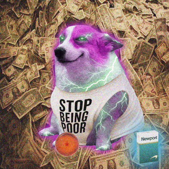 A surreal meme image of a purple-tinted dog with glowing green eyes wearing a tank top that reads 'STOP BEING POOR', sitting on a pile of money next to a pack of Newport cigarettes.