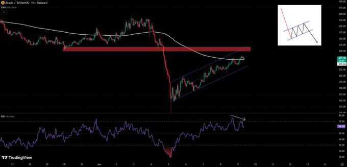 The image depicts a trading chart with various candlestick symbols representing price movements of different stocks and assets. The most prominent symbol in the top right corner is a red bear flag, indicating that $ZEC has formed a clear bearish signal underneath the 1H 200 EMA. The other symbols show both bullish and bearish RSI divergence, suggesting ongoing momentum issues within the market. The image provides an analysis of how the stocks are performing relative to each other and offers insights into the current trading scenario.