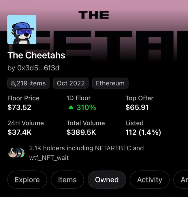 An NFT collection details page for 'The Cheetahs' by '0x3d5...6f3d', showing a Floor Price of $73.52, a 1D Floor increase of 310%, 24H Volume of $37.4K, and 2.1K holders on Ethereum.