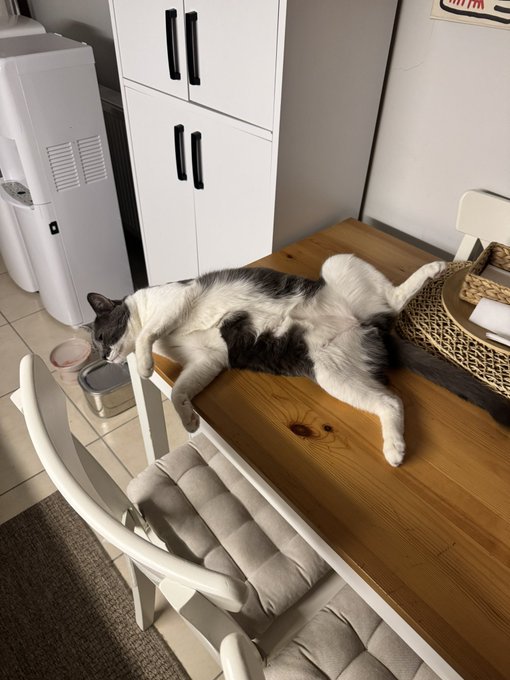 A black and white cat lying on its back in a stretched, relaxed pose on a wooden dining table in a bright kitchen setting.