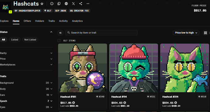 A screenshot of the Hashcats NFT marketplace displays a collection by "HASHCATDEPLOYER" with 817 items, showing three pixel-art cat NFTs (#181, #114, #214) priced at $917.05, $924.63, and $924.63 respectively, with a floor price of $917.05. The post references Hashcats as a profitable mining-based NFT collection, celebrating significant gains that suggest holding rather than selling was the right choice.
