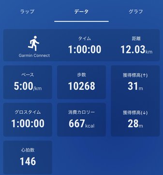 A screenshot of a Garmin Connect workout summary in Japanese, showing data such as a 1:00:00 time, 12.03km distance, 5:00/km pace, 10268 steps, 667 kcal calories, and an average heart rate of 146.