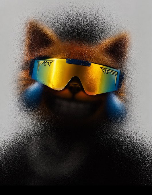A stylized, textured portrait of a creature wearing reflective rainbow visor sunglasses labeled "Pit Viper."