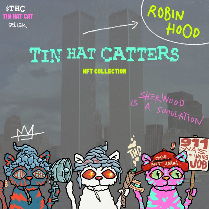 Promotional artwork for 'TIN HAT CATTERS NFT COLLECTION' featuring three pixel-art cartoon cats with graffiti-style text overlays including 'ROBIN HOOD', 'SHERWOOD IS A SIMULATION', and '911 WAS AN INSIDE JOB' against a city skyline background.