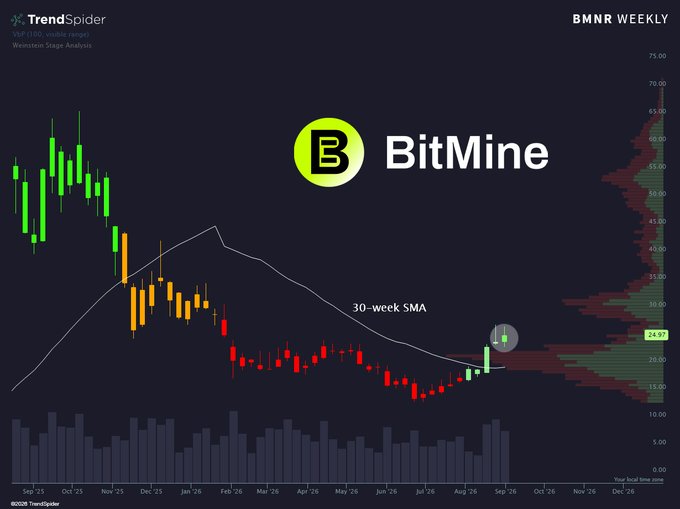 A TrendSpider weekly chart for BMNR (BitMine) showing a candlestick chart with a 30-week SMA line, current price around 24.97, and volume profile on the right side.