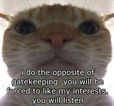 A close-up of a sad-looking orange and white cat with a meme caption reading: 'i do the opposite of gatekeeping. you will be forced to like my interests. you will listen.'