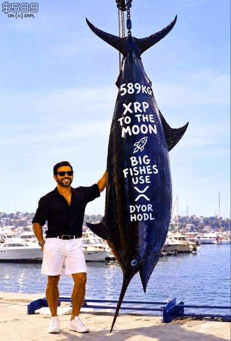 A man stands next to a large marlin hanging vertically, with text reading "589KG XRP TO THE MOON BIG FISHES USE X DYOR HODL" and a watermark showing $589 on [X] XRPL.