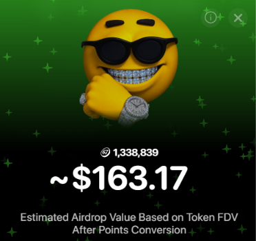 A smiling emoji wearing sunglasses, grills, and a diamond watch displays an allocation of 1,338,839 tokens with an estimated airdrop value of ~$163.17, based on token FDV after points conversion for the Six Seven Club airdrop checker.