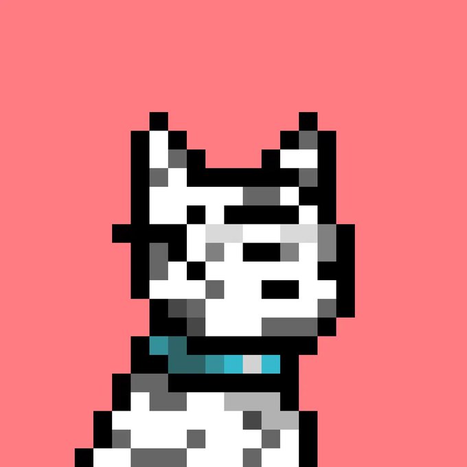 The image features a cartoon dog wearing a blue collar with a tag that says "doginaldogs" written on it. The dog appears to be looking up at something or someone, possibly a person taking a photo of them. The background color is pink, which contrasts nicely with the white and black elements in the image. There are no texts present in the image.