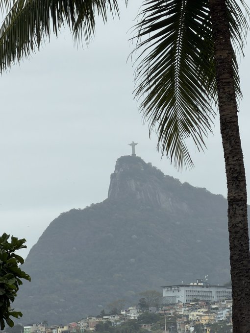 A scenic view of Christ the Redeemer statue atop Corcovado mountain in Rio de Janeiro, framed by palm tree fronds in the foreground with a hazy, overcast sky.