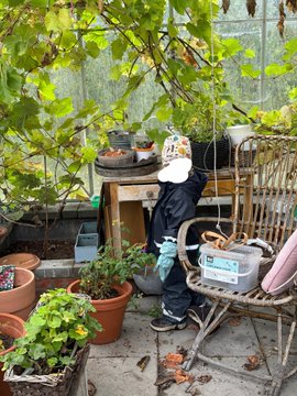 A person wearing a white cap, dark jacket, and green gloves tends to plants in a garden setting, standing next to a wicker chair holding a clear plastic container.