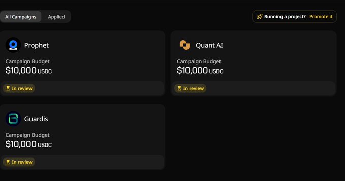 The image shows a screenshot of a computer screen displaying three different campaign budgets listed out with their respective names and descriptions. The first budget is labeled "Prophet", followed by "Quant AI" and "Guardis". The third budget, named "Quant AI", has a description that reads "In review". The post also mentions an application called "Running a project", which could be related to the budgets or campaigns being discussed on the screen.