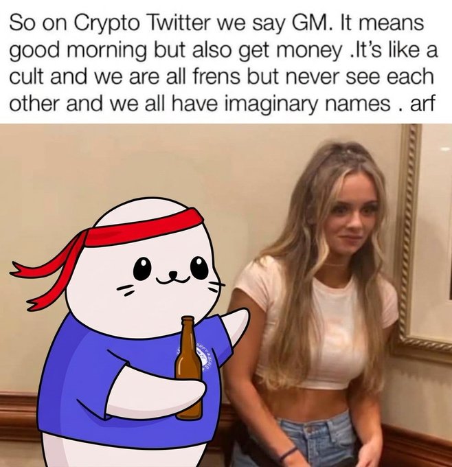 A meme featuring a cartoon seal holding a beer next to a young woman, with text explaining 'Crypto Twitter' slang: 'So on Crypto Twitter we say GM. It means good morning but also get money .It's like a cult and we are all frens but never see each other and we all have imaginary names . arf'.