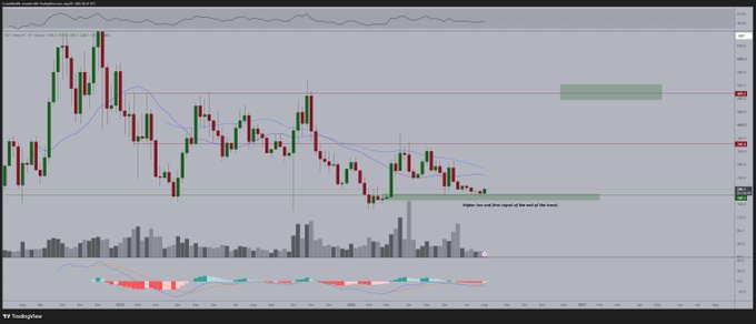 A weekly candlestick chart of $TAO is displayed, showing the price consolidating above a marked support zone with a volume indicator and colored bars below. Green and red horizontal zones highlight key support and resistance levels, illustrating the higher timeframe support that the post references for expecting a potential 100% rally.