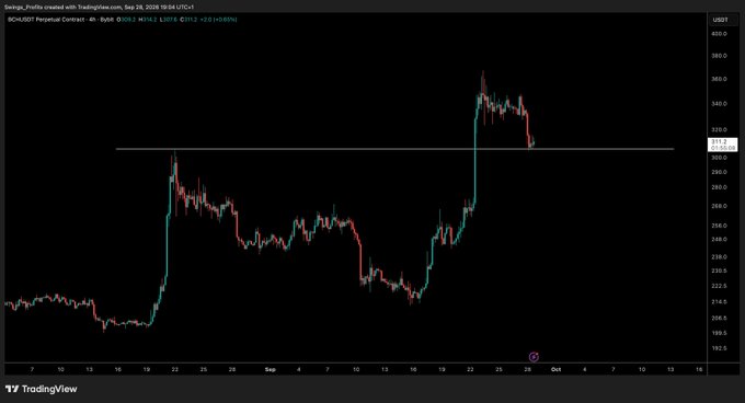 A TradingView 4-hour chart of BCHUSDT Perpetual Contract shows price rallying sharply to around $330 from a low near $200, currently resting on a key horizontal support zone near $314 (matching the post's emphasis on an "important zone"). The caption notes the chart's price action aligns with the author's wait for a relief bounce off this critical level before further continuation.