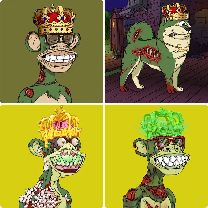 A four-panel collage showcasing distinct variations of a zombie-style chimpanzee NFT character wearing different crowns and accessories—each with unique features like a gold and jeweled crown, sunglasses, a cigar, exposed ribcage wounds, a floral crown with green teeth, and a green smoke crown with red sunglasses. The image aligns with the post advertising a full NFT collection sale priced at 35 ETH on the Gondi platform, with the varied zombie apes illustrating the range of traits available in the set.