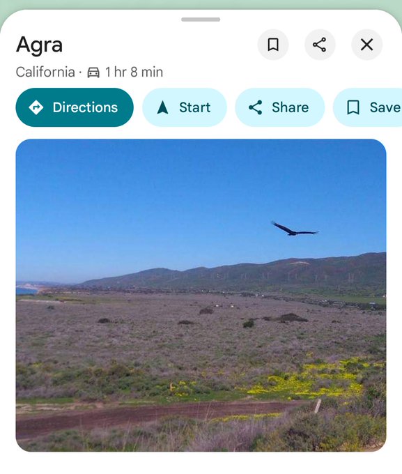 Google Maps mobile screenshot showing 'Agra, California' with a 1 hr 8 min travel time, featuring a photo of a hawk flying over a hilly landscape with yellow flowers.