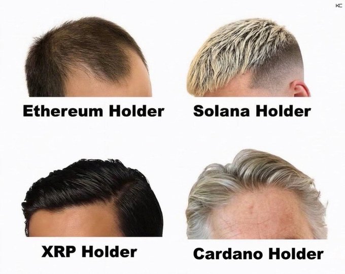 A meme showing four photos of male heads with varying hair loss labeled 'Ethereum Holder', 'Solana Holder', 'XRP Holder', and 'Cardano Holder'.