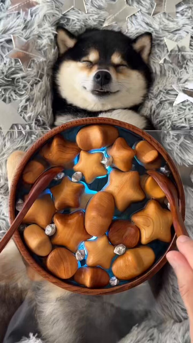 The image features a black and white dog lying down with its eyes closed, appearing to be sleeping or resting comfortably. The dog's head is resting on a wooden bowl filled with small wooden stars and other treats. The bowl is placed on top of a bed covered in fur, creating an adorable scene that captures the essence of the post "MANYU -FESTING Amazing Weekend Vibes!".