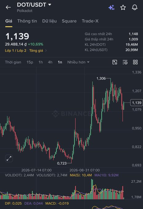A cryptocurrency trading interface shows the 'DOT/USDT' (Polkadot) trading pair with a current price of 1.139, displaying a candlestick chart from Binance.