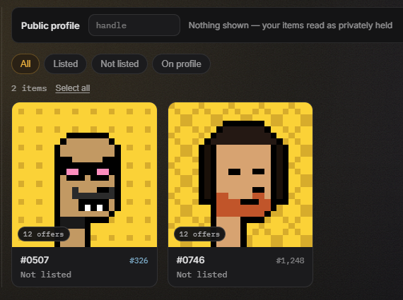 A public profile page showing a user's private NFT collection of 2 pixel art characters (#0507 and #0746), both marked as 'Not listed' with 12 offers each.