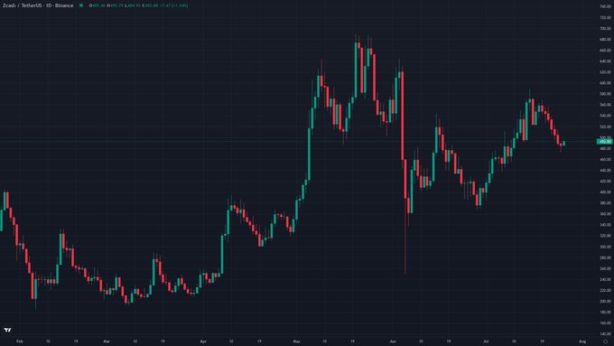 This Zcash (ZEC) price chart from Binance shows its significant rise from under $200 in February to over $490 by August, illustrating the "privacy quietly outran the majors" narrative.