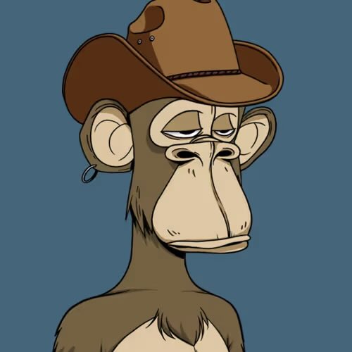 A cartoon monkey wearing a brown cowboy hat against a blue background, representing the Bored Ape Yacht Club (BAYC) NFT referenced in the post about the user's "double bored Cowboy BAYC."