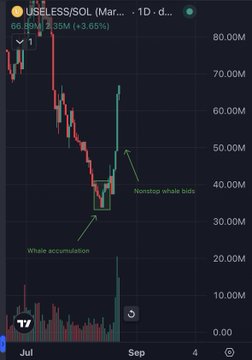 A TradingView candlestick chart for USELESS/SOL on the pair USELESS/SOL showing a price near 1 d, with annotations marking 'Whale accumulation' around late July and a 'Nonstop whale bids' during a recovery.