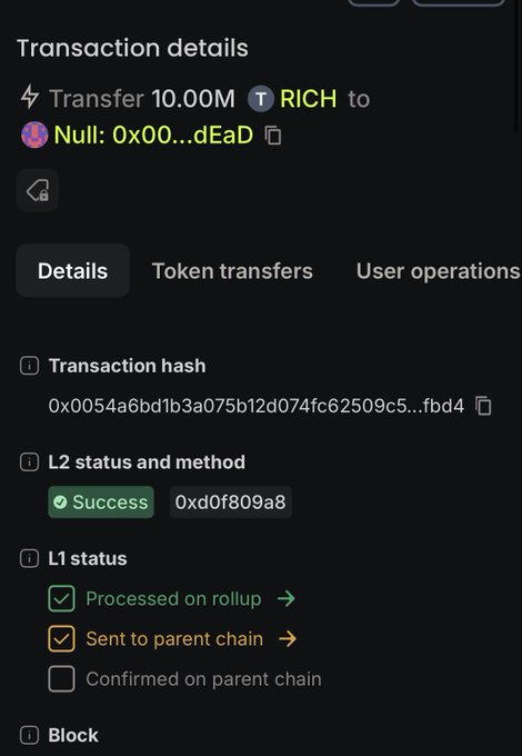 A blockchain transaction details screen showing 'Transfer 10.00M RICH to Null: 0x00...dEaD' with transaction hash 0x0054a6bd1b3a075b12d074fc62509c5...fbd4, L2 status Success, and L1 status processed on rollup.