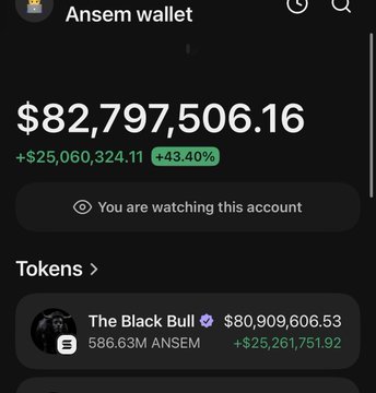 A wallet tracking app showing 'Ansem wallet' with a balance of $82,797,506.16 (+43.40%), featuring The Black Bull token.