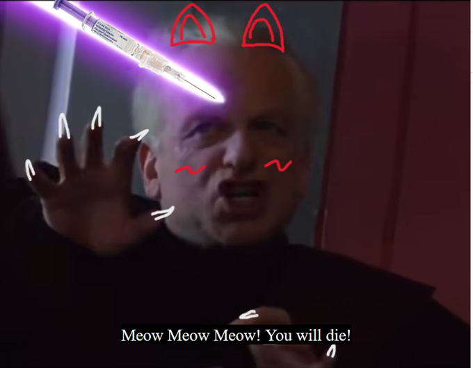 A meme-style image showing a man with digitally added cat ears, whiskers, and a drawn purple lightsaber, with the caption 'Meow Meow Meow! You will die!'